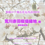荒川赤羽桜堤緑地、他 東京都北区 特撮ロケ地お花見再訪2024