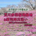 北区立荒川赤羽桜堤緑地と新河岸川沿い 東京都北区 特撮ロケ地return &お花見2025
